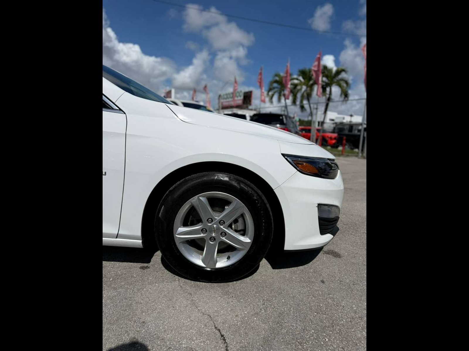 2024 CHEVROLET Malibu in Miami, FL