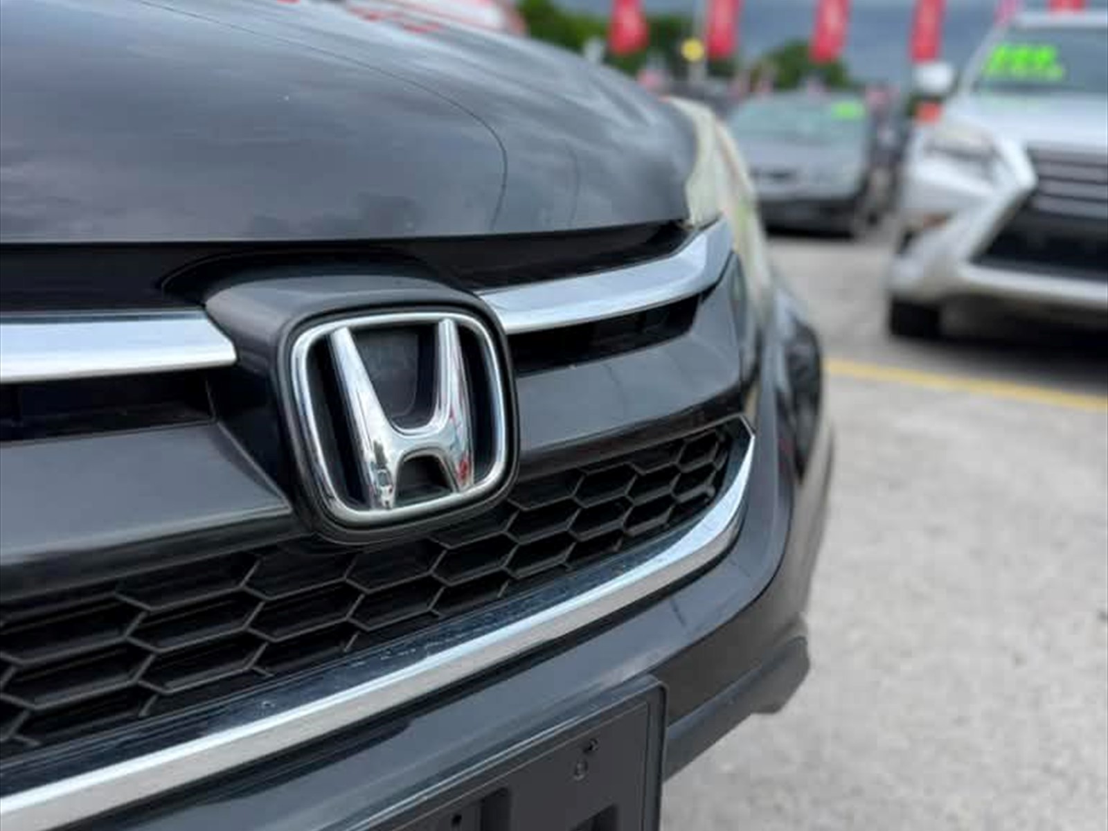 2015 HONDA CR-V in Miami, FL