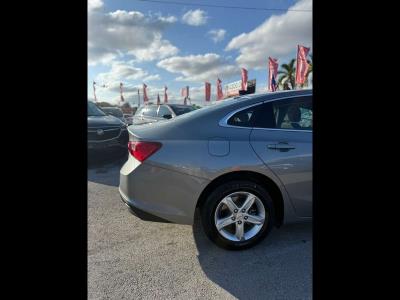 2024 CHEVROLET Malibu in Miami, FL
